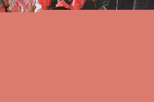 在陜西省三八婦樂志愿者聯(lián)合會 第一次會員代表大會上的致辭